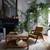 🌿 Botanical & Plant Design for Stores, Restaurants, and Residences 🌿 1 thumbnail