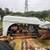 1951 FORD 8N TRACTOR 4 thumbnail