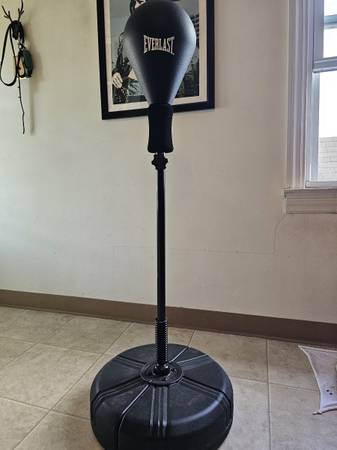 speed bag 1