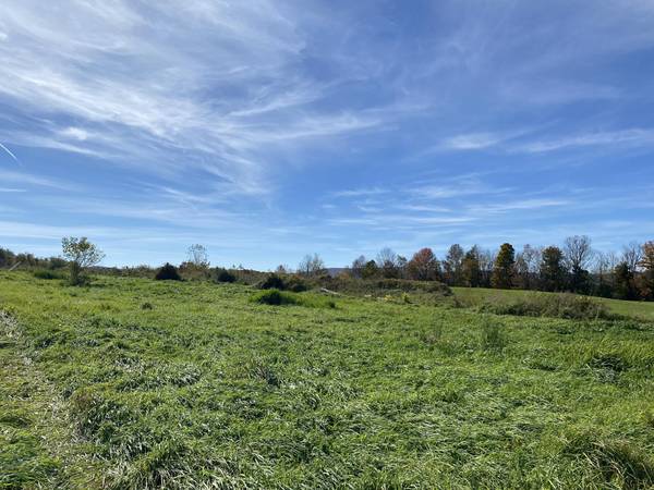 Terreno en venta por $89,000 - 2 acres (Williamstown)63184501732353124