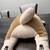 Stuff animals 9 thumbnail