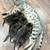 Bengal kittens 2 thumbnail