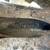One 14 inch Honda Civic rim 4 lug 6 thumbnail