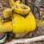 20 foot backhoe attachment 4 thumbnail