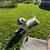 Dog 1 thumbnail