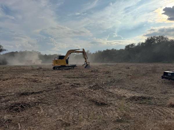 TREE SERVICE , tree service removals 1