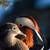 Mandarin ducks exotic wild waterfowl cold hardy! 13 thumbnail