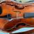Viola- Full size 1 thumbnail