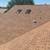 OnPoint Roofing - 50 Yr Warranty & 10 Yr Labor - Free Estimate 9 thumbnail