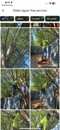 We cut your tree service fee down by half of a typical cost 1