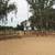 HORSE BOARDING Sacramento Area (Florin & Bradshaw Rd.) 1 thumbnail