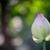 Tokina SZ-X 60-300mm 1:4-5.6 lens in Pentax PK/A mount 2 thumbnail