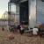 Chicken Coop and Chickens 13 thumbnail
