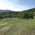 BARTER WILD PIG HUNTING FOR FINISH REMODEL WORK 8 thumbnail