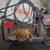 Hobart 135 Mig Welder W/Cart, Torch and Protective Gear 1 thumbnail