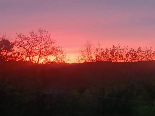 Tranquility Overlooking Oneonta

$1,100

                        Oneonta