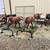 Roping sleds 9 thumbnail
