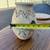 Southwestern Style Pottery Vase – Hand Painted Horse Design – 9” Tall 3 thumbnail