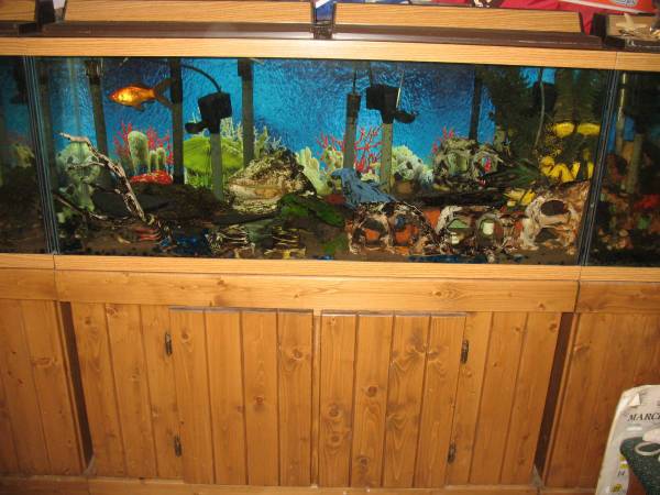 55 gallon Aquarium & wood cabinet-stand for $250. with filter, rocks, 1