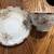 Bone Chine Tea cups 8 thumbnail