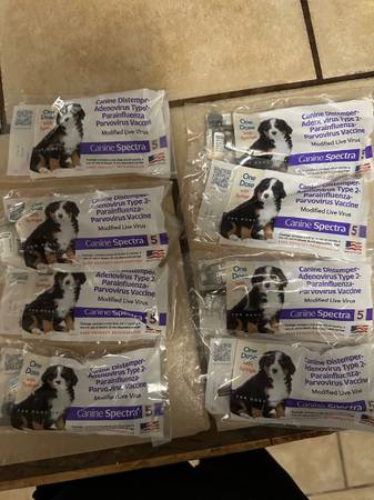 Pitbull/Great Dane Pups $50 (Mobile)63920391129219121