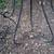 Set of Vintage Spanish Revival Style Iron Scroll Planter Stands 9 thumbnail