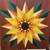 barn quilt folk art 4 thumbnail