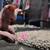 Sphynx Kittens 4 thumbnail