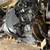 ★ 2000-2004 Volvo S40 - 1.9 L  ENGINE - #29536 ★ 3 thumbnail