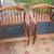Pair of Danish Modern Walnut Lounge Chairs 17 thumbnail