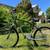 Schwinn Skyliner 1 thumbnail