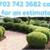 VEGAS YARD CLEAN UPS, LANDSCAPING, TREE TRIMMING, PALM TREES TRIM 11 thumbnail
