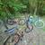 Retro Beach Cruiser All New Aqua Piranha -  Powder Coated 8 thumbnail