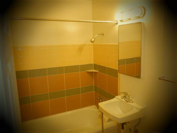 $1,300 / 1br - 550ft2 - 1 dormitorio, 1 baño, apartamento, sur de Seattle (Rainier Beach/Rainier Valley)63814837477379122