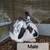 Bunnies (Pet) - $10 rehoming fee 1 thumbnail
