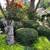 Landscaping & yard work 6 thumbnail