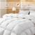 Brand New All Season Queen Size Down Comforter with 100% Cotton Cover 90”x90 2 thumbnail