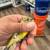 Black hooded siskin / pastel 3 thumbnail
