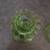 Vintage INDIANA TIARA GLASS Chantilly Green Candlestick Candle Holders 2 thumbnail