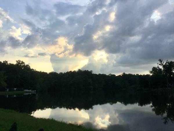 $800 / 3br - Quiet Furnished Room for a Professional: IT, Medical, Engineer, Aviation, Etc. (Greensboro near Friendly Center)64027274447106120