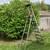Hailo 8 Step Stepladder 3 thumbnail