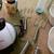 Kitchen Items (all) 4 thumbnail