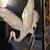 Vintage Chinoiserie Wall Panels, Black Lacquer, Mother of Pearl 4 thumbnail