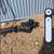 Pontoon mount trolling motor 4 thumbnail