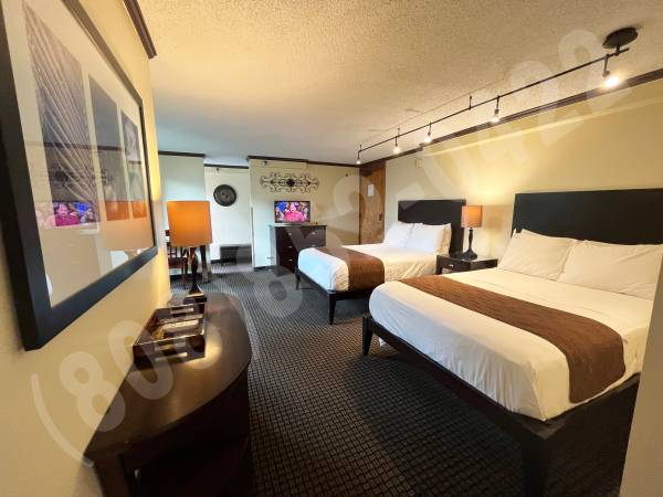 $125 / 450ft2 - 🌅 Large Studio w/separate full kitchen, $125 to $145+tax (Waikiki, Honolulu)63686745624833120