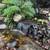 Koi Ponds, Waterfalls, Fountains, Turf, Pavers, Landscape 3 thumbnail