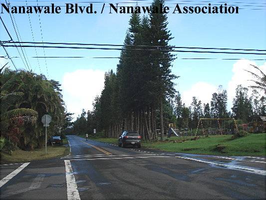 $13,000 / 8040ft2 - NO CREDIT CHECK Hawaii Vacant Land LOW DOWN, Owner Financed (NANAWALE ESTATES  PAHOA)63939662410114122