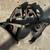 1968-72 Chevy Camaro Nova OEM upper Control A arms 1 thumbnail