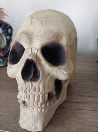 Halloween decor 1