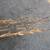 1959 1960 Cadillac Coupe Back Seat 24 thumbnail